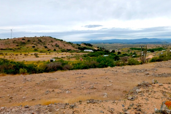 Venta de Parcela en Litueche 6500M2
