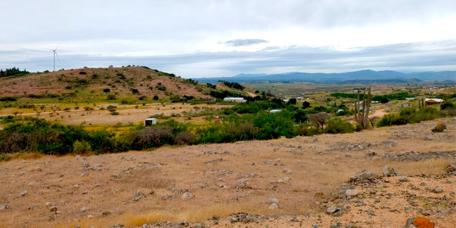 Venta de Parcela en Litueche 6500M2