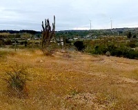 Venta de Parcela en Litueche 6500M2